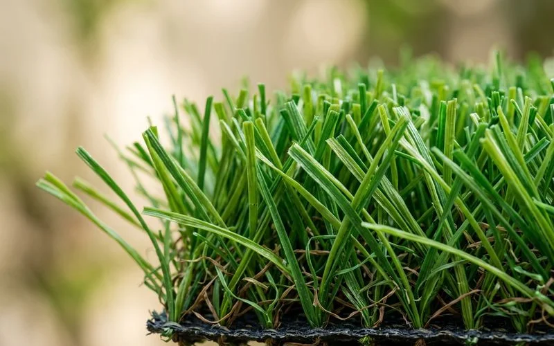 Close-up of turf fiber blades showing UV-stable color retention